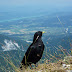 2011.07.10. - M&M na Dovški Babi