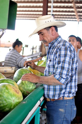 [watermelons%252011%25200705%2520%252859%2529%255B5%255D.jpg]