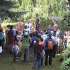 P7080091.JPG