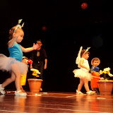 DSC05279.JPG