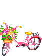 th_12831 th_12831