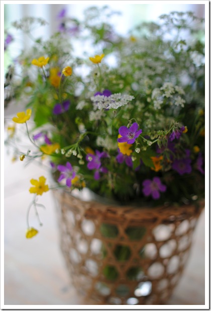 blommor 008 blommor 008