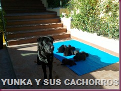 IMG137 IMG137