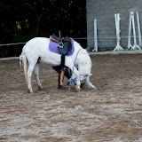 6Y1I2950_DxO_raw.jpg 6Y1I2950_DxO_raw.jpg