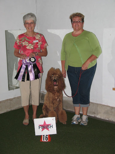Finnegan has won close to 80 ribbons!