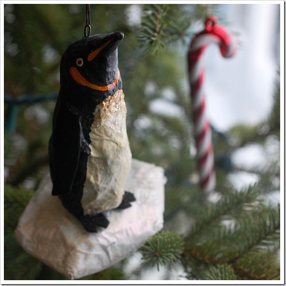 SQ penguin