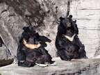 denver_zoo
