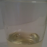 IMAG0747.jpg