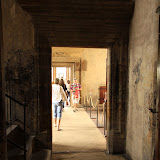 IMG_5504.JPG