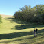 Walking across the first meadow