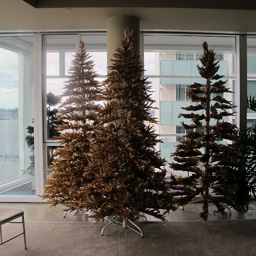 Here are the trees the next day.