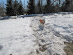 Yeah - It really is still winter.