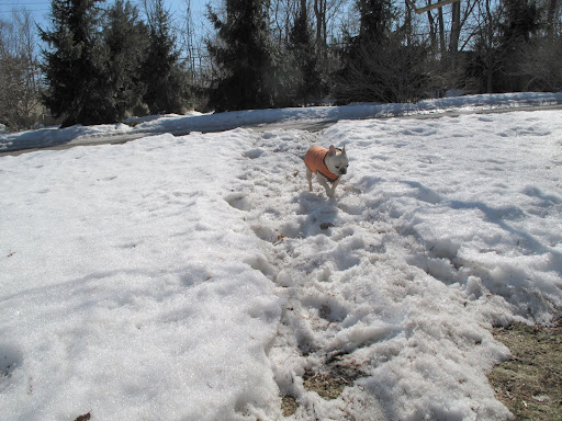 Yeah - It really is still winter.
