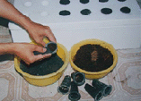 clip_image003