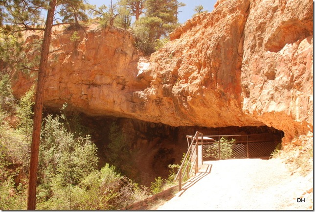 05-26-13 B Mossy Cave Trail Bryce (46)