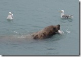 IMG_6189 IMG_6189