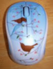 New Mouse