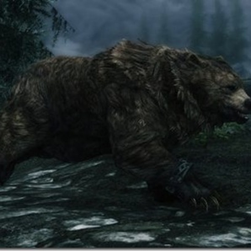 Skyrim Dragonborn: So können Sie einen Werbären herbeirufen (How to Summon a Werebear Guide)