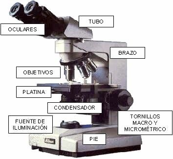 El Microscopio de Laboratorio - Quimica | Quimica Inorganica