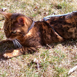 IMAG0196.jpg