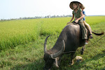 Hoi An, Vietnam 007.JPG