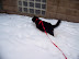 Playing in the Snow
