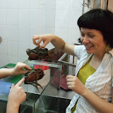 choosing the crab