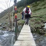 DSC03937.jpg