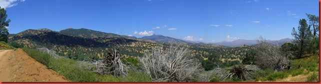pics 019