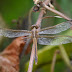 P1110687