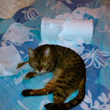 IMAG0015.jpg