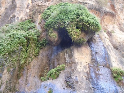 DSCN3879.jpg