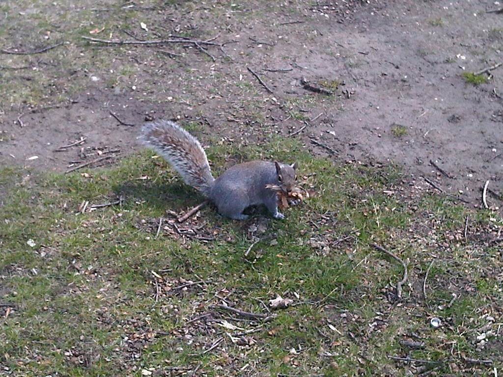 [IMG00875-20120406-1959%255B3%255D.jpg]