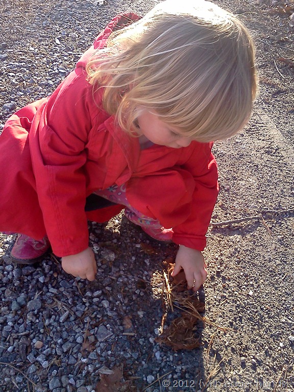 [IMG_20120217_162218%255B2%255D.jpg]