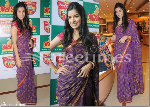 Magenta_Designer_Embrodiery_Saree Magenta_Designer_Embrodiery_Saree
