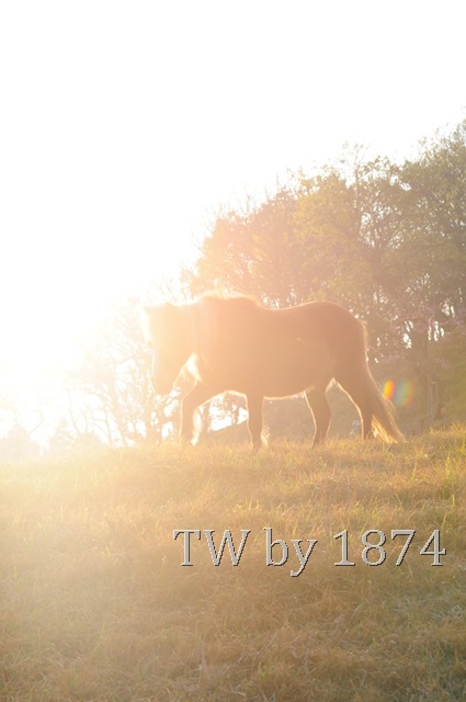 [DSC_4968%255B16%255D.jpg]