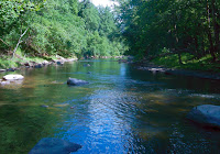 SAM_0921.JPG Photo