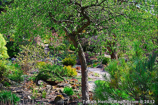 [DSC_0007%255B11%255D.jpg]