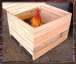 gallo-en-caja