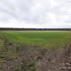 dsc05532.jpg