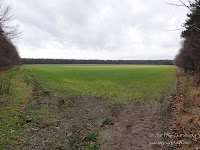 dsc05532.jpg