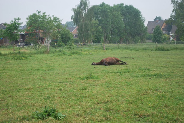 [DSC_0117%255B4%255D.jpg]
