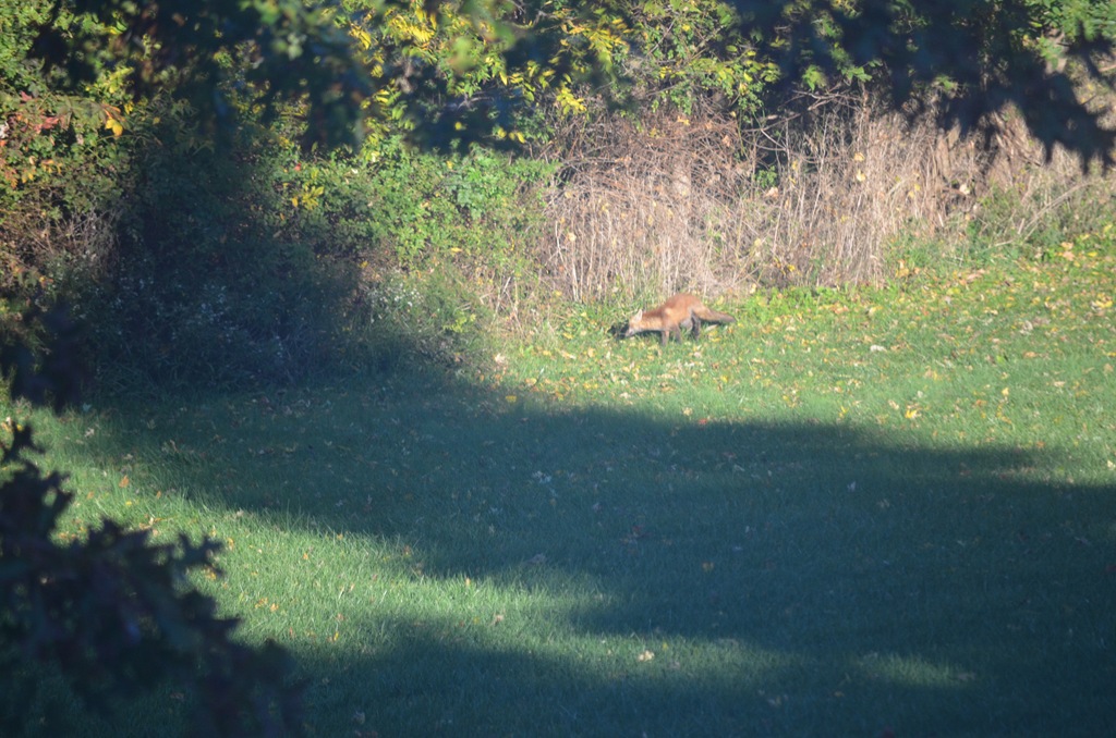 [DSC_2606%255B4%255D.jpg]