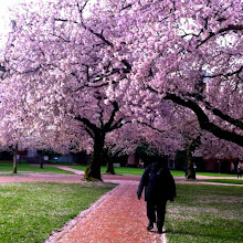 Morning On The Quad