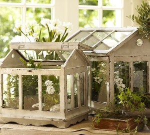 [potterybarn.terrarium3.png]