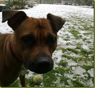 Roxy4