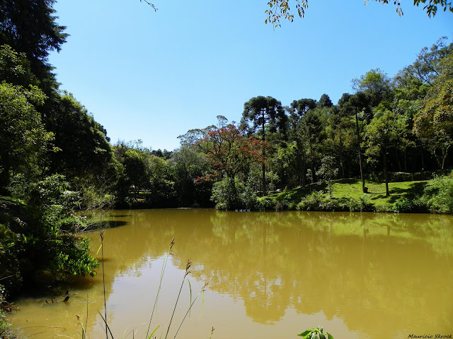 Paysage du Paraná près de Curitiba. Novembre 2010. Photo : Mauricio Skrock