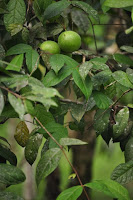 DSC_5912.JPG