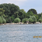 IMG_4276.JPG