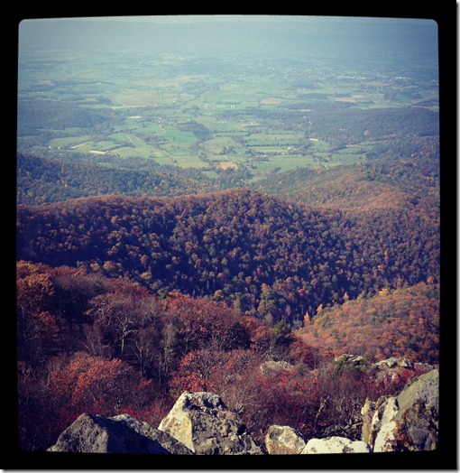 photo 2 (2)